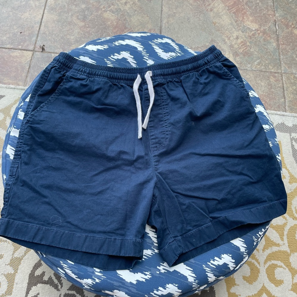 Men’s Chubbies shorts, size medium, color navy